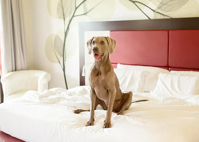 Griso Collection Hotel Malgrate